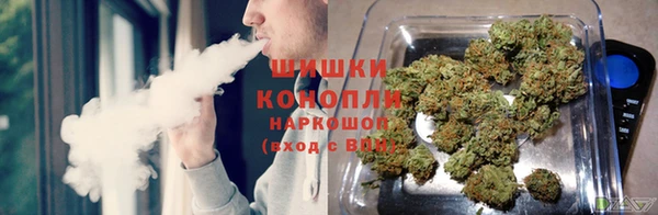 2c-b Богородск
