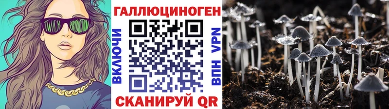 купить  сайты  Волчанск  Псилоцибиновые грибы ЛСД 